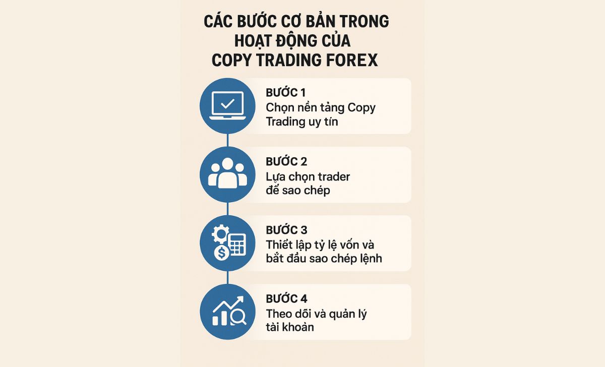 Các bước cơ bản trong hoạt động của Copy Trading Forex