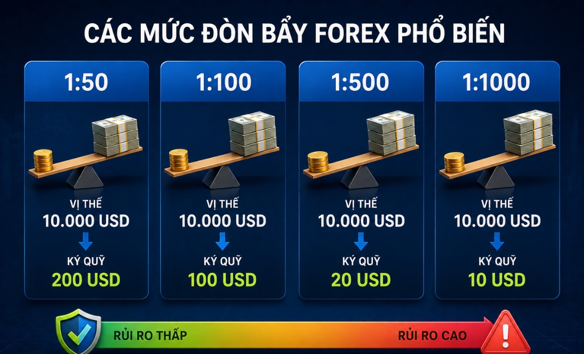 Đòn bẩy Forex là bao nhiêu và các mức phổ biến hiện nay