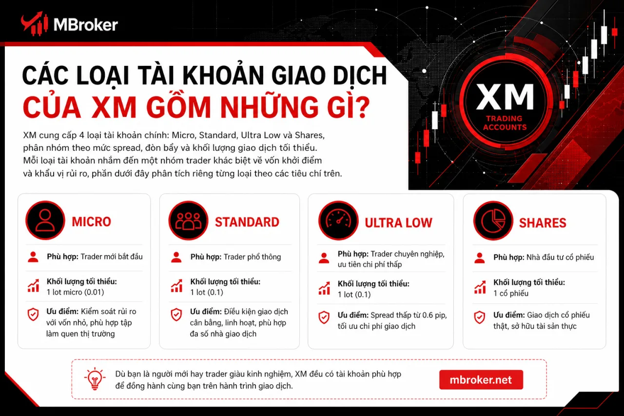 Các Loại Tài Khoản Giao Dịch Của XM Gồm Những Gì