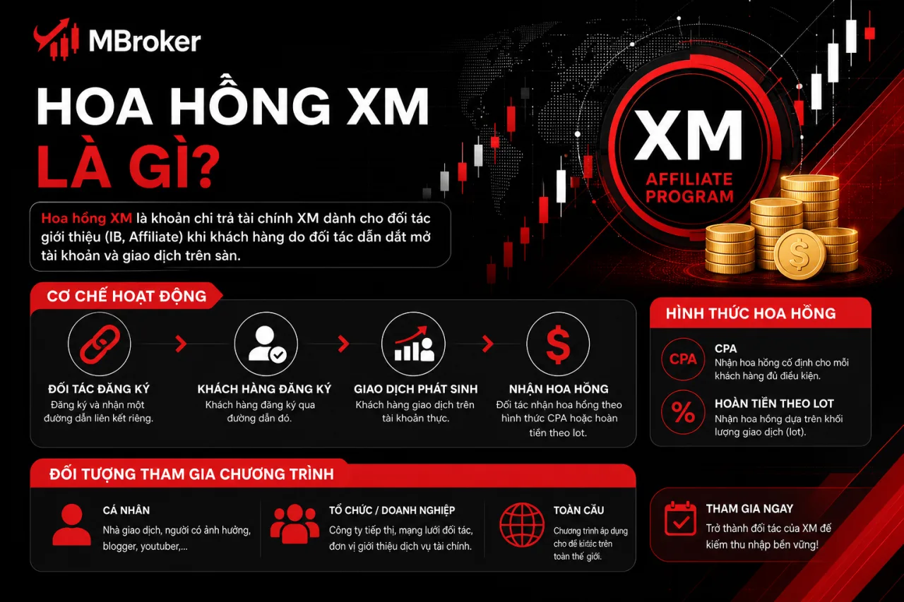 Hoa Hồng XM