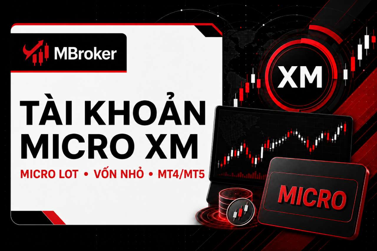 Tài Khoản Micro XM: So Sánh Với Standard Cho Người Mới