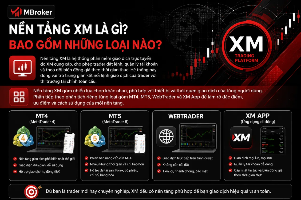 Nền Tảng XM Là Gì? Bao Gồm Những Loại Nào Nền Tảng XM Là Gì? Bao Gồm Những Loại Nào