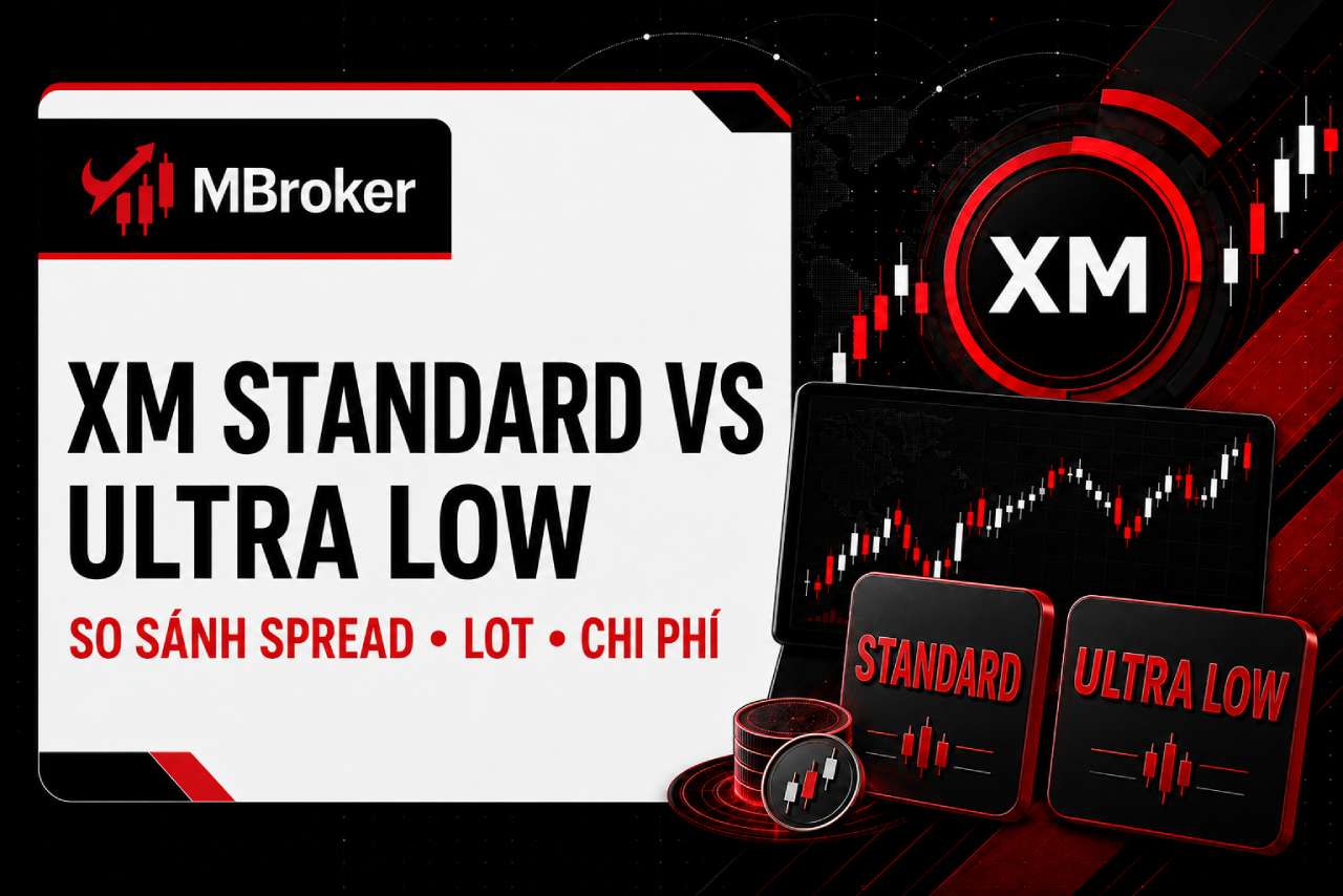 So Sánh XM Standard và Ultra Low: Nên Chọn Loại Nào?