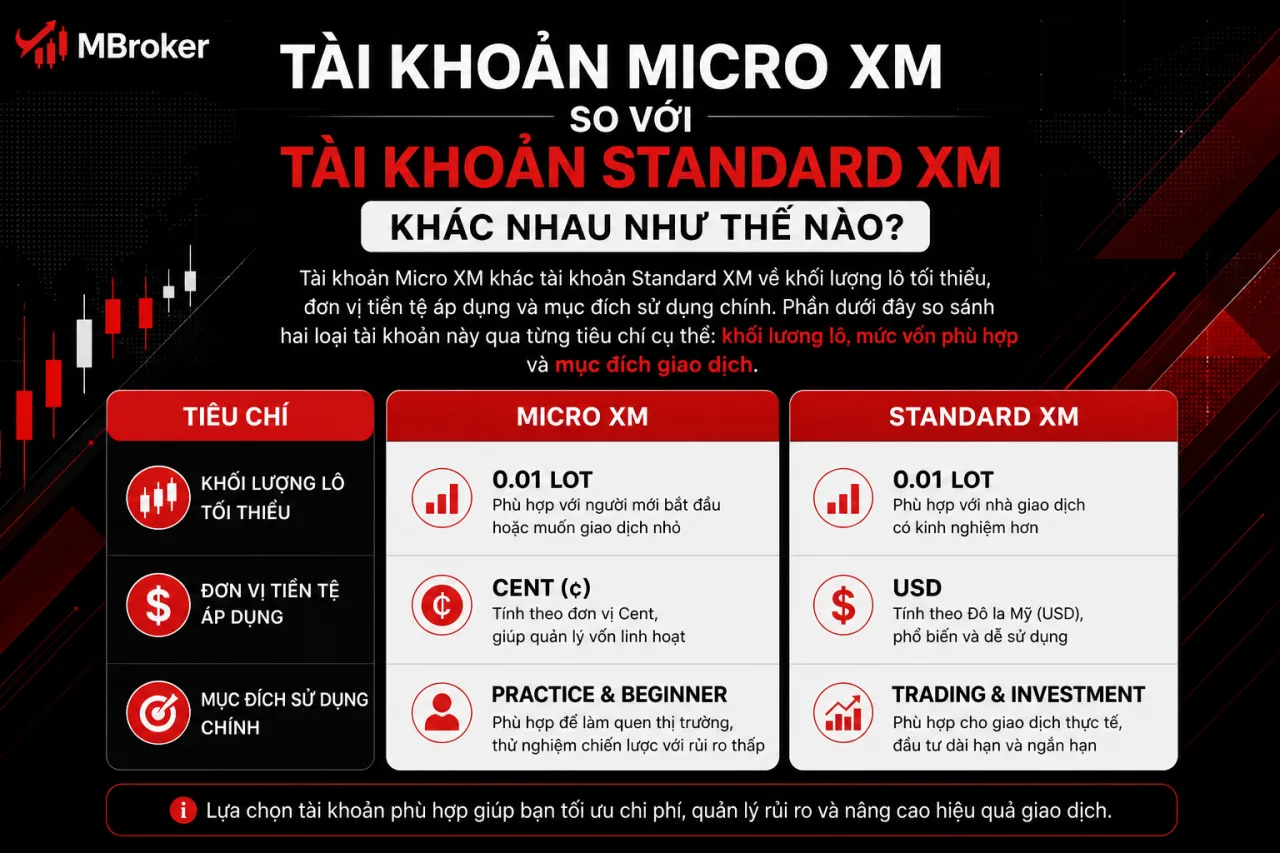 Tài Khoản Micro XM So Với Tài Khoản Standard XM Khác Nhau