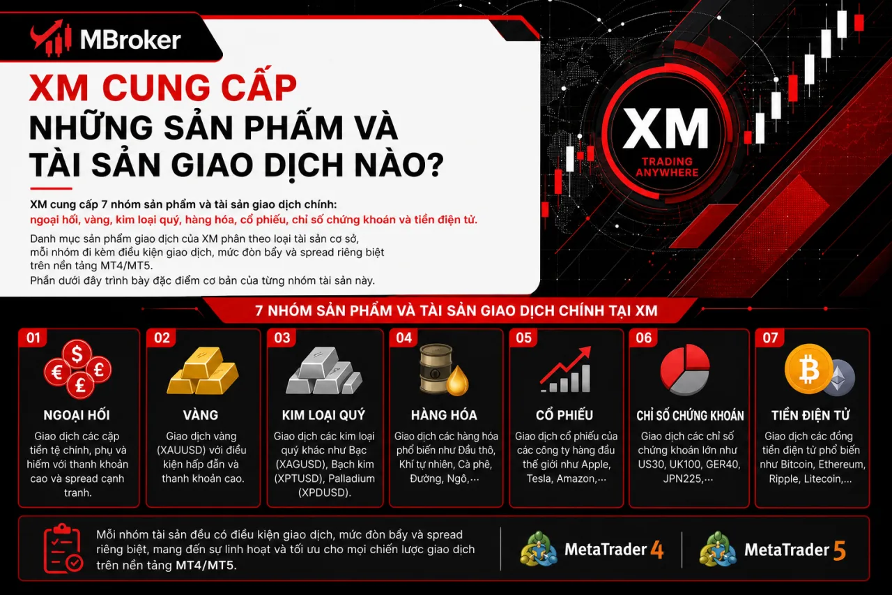 XM Cung Cấp Những Sản Phẩm Và Tài Sản Giao Dịch Nào