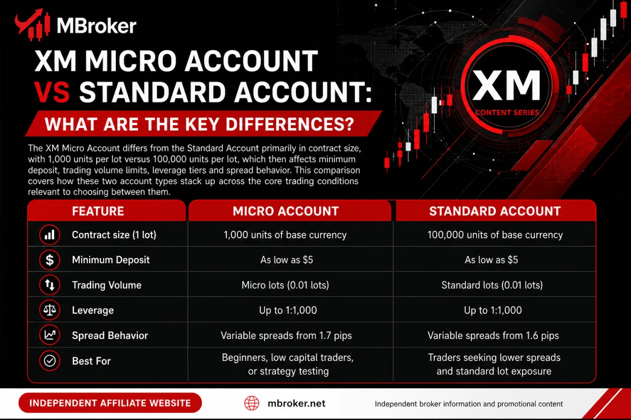 XM Micro Account vs Standard Account: What Are the Key Differences