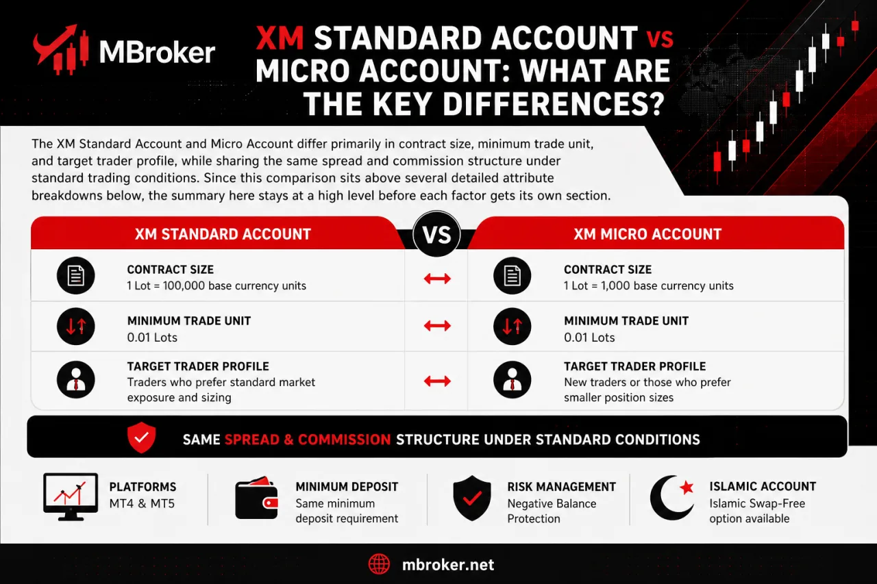 XM Standard Account vs Micro Account: What Are the Key Differences