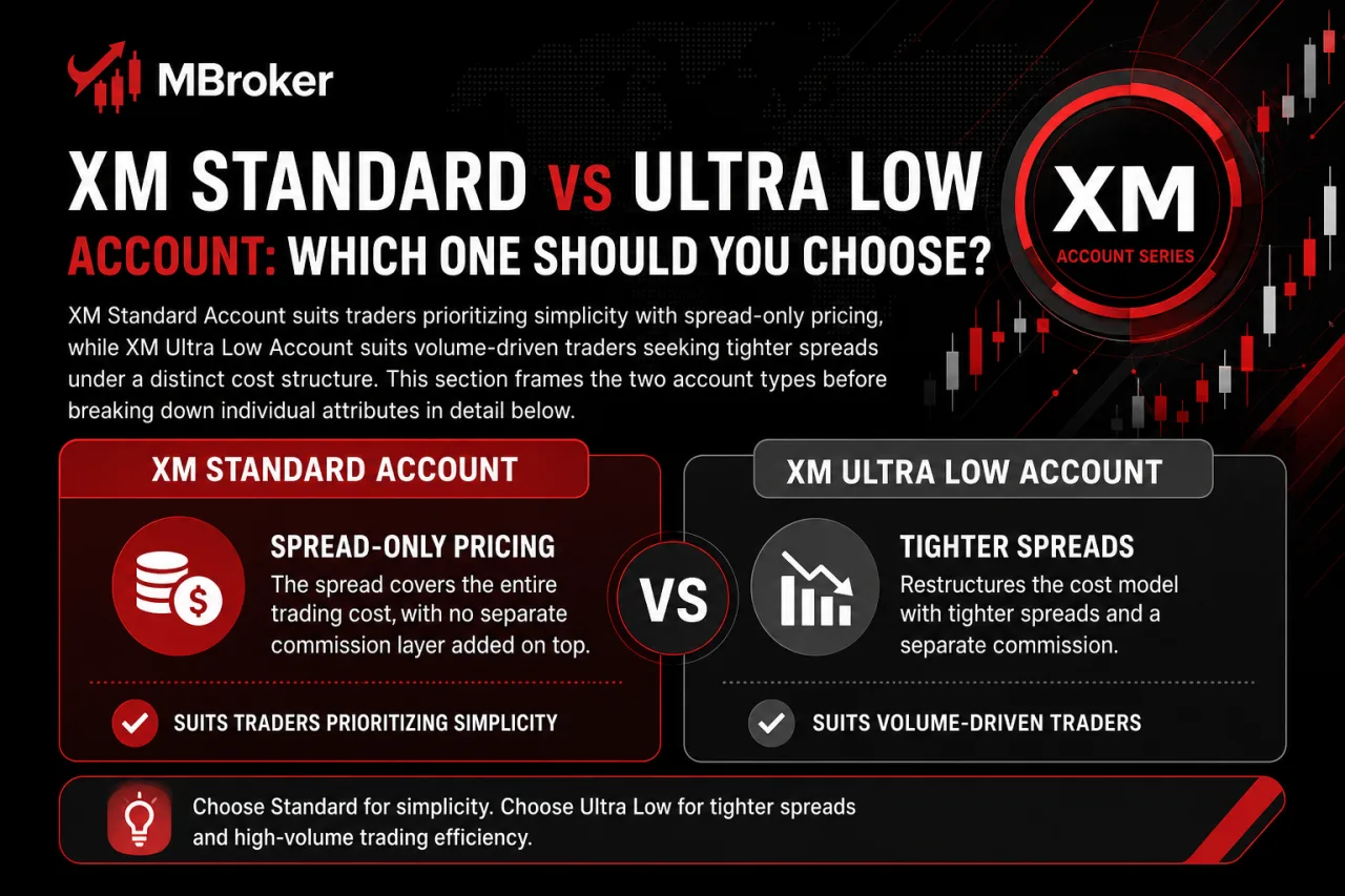 XM Standard vs Ultra Low Account: Which One Should You Choose
